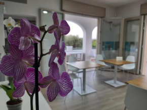 Shekhinah Bed and Breakfast Home Restaurant